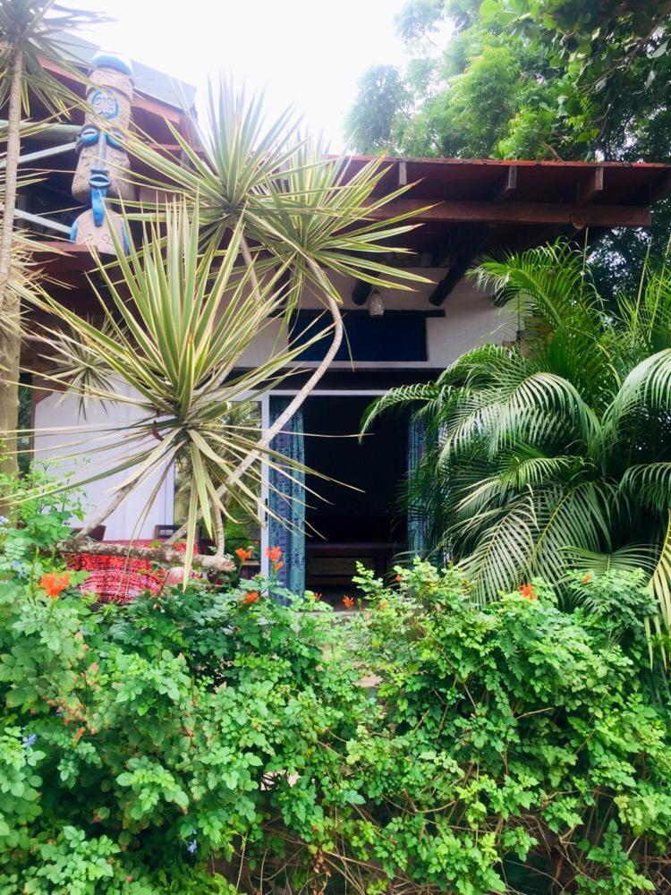 Kokrobite Garden Ngoại thất bức ảnh